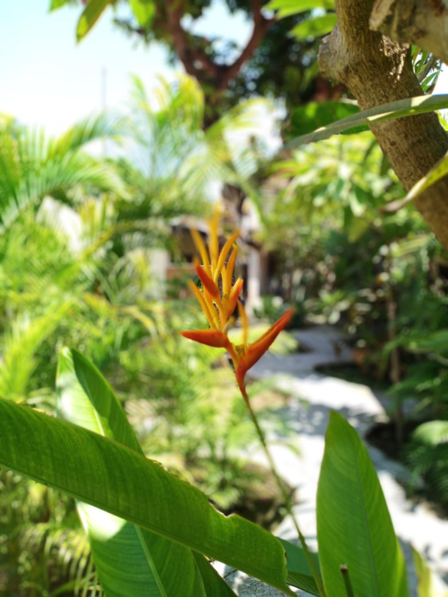 فندق Gili T Heaven غيلي تراوانغان المظهر الخارجي الصورة